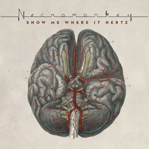Show Me Where It Hertz