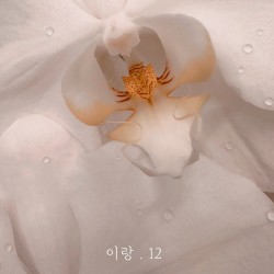 이랑. 12