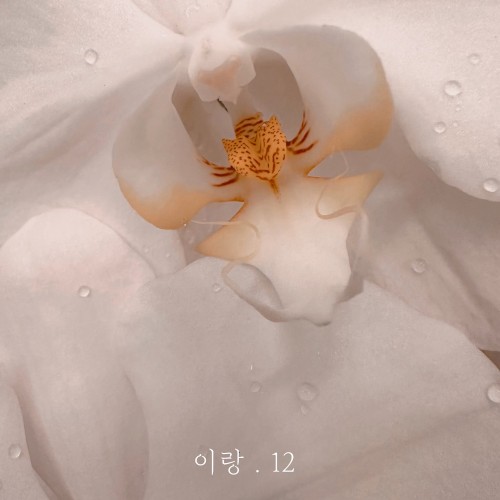 이랑. 12