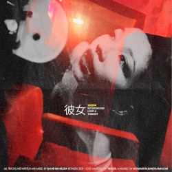 WZ004