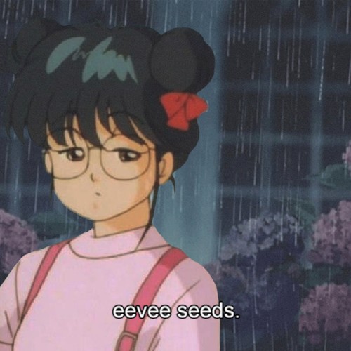 seeds