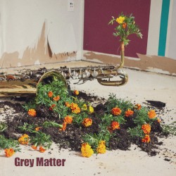 Grey Matter
