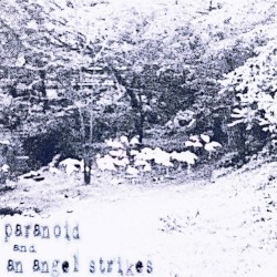 paranoid and an angel strikes