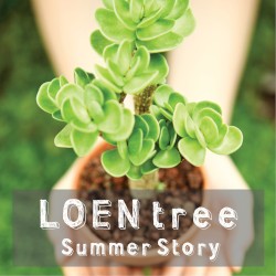 LOEN TREE Summer Story