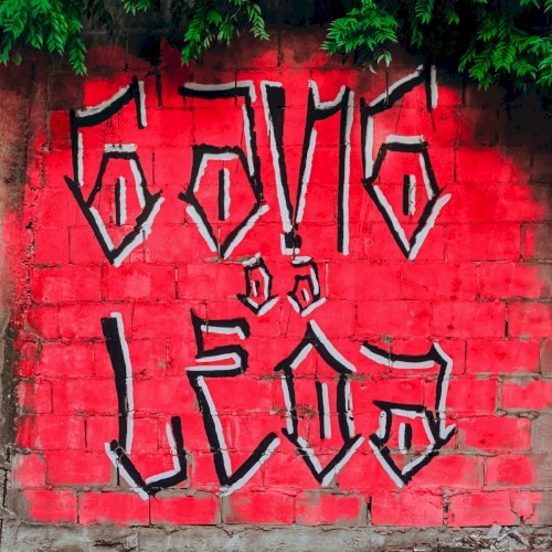 Gang da Leoa, Vol. 1