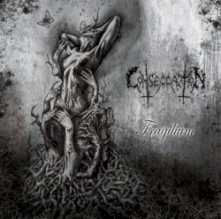 Fragilium