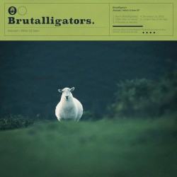 Animals I Wish I'd Seen