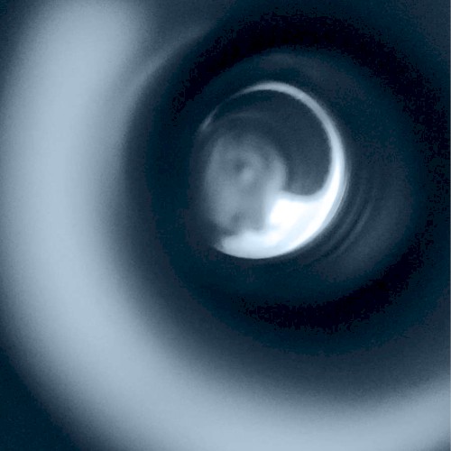 Freakin’ Out
