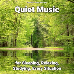 Quiet Music for Sleeping, Relaxing, Studying, Every Situation