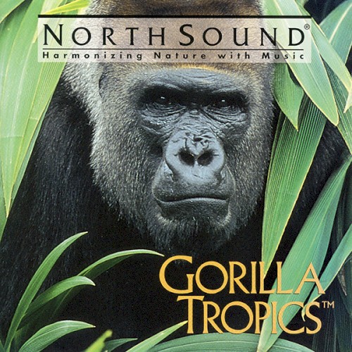 Gorilla Tropics
