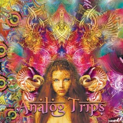 Analog Trips