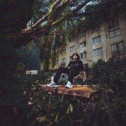 Dans la jungle
