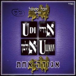 אגודה אחת