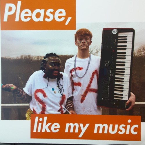Please Like my music