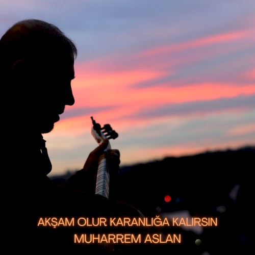 Akşam Olur Karanlığa Kalırsın