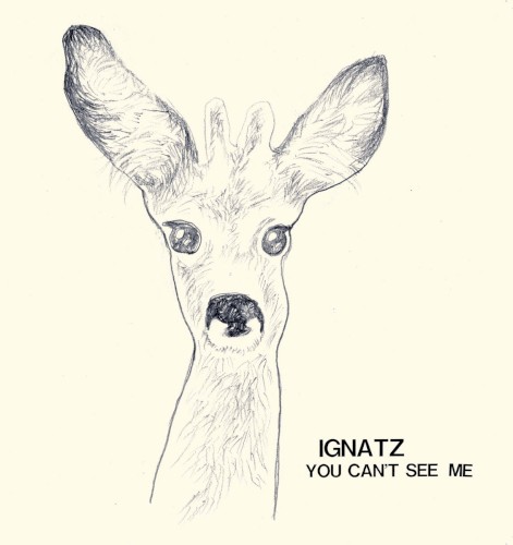 You Can't See Me