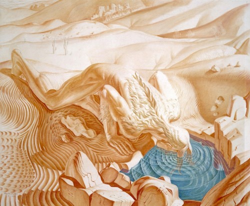the Lotus Pool