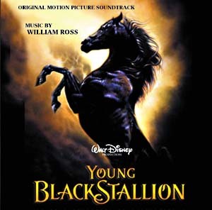 Young Black Stallion