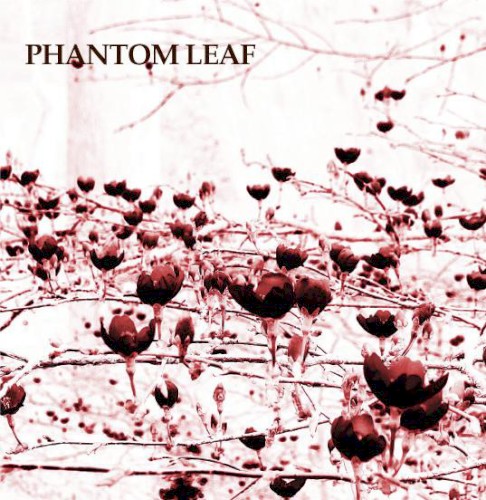 Phantom Leaf