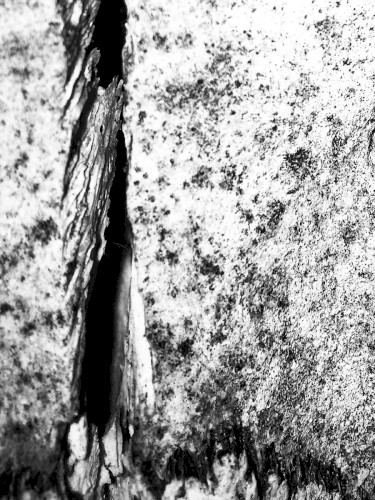CHASM