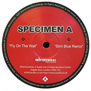 Fly on the Wall