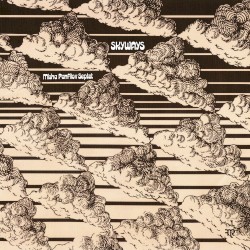 Skyways