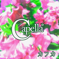 カフカ