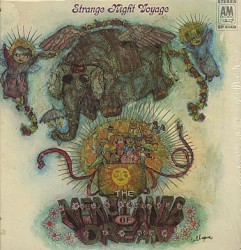 Strange Night Voyage