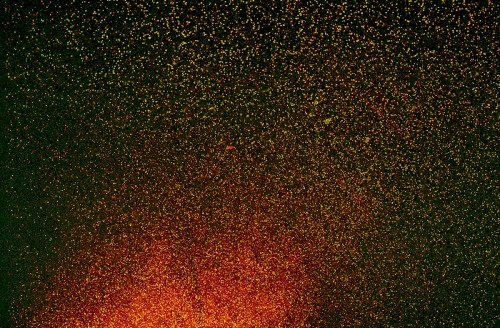 Melange