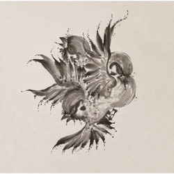 United Sparrows