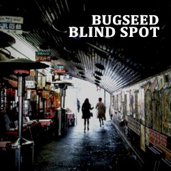 Blind Spot