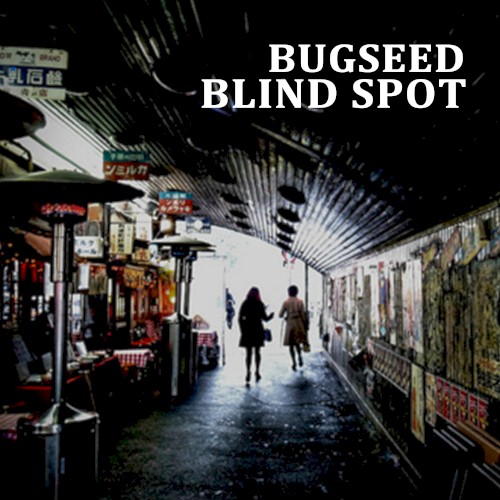 Blind Spot
