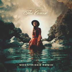The Course (Moontricks remix)