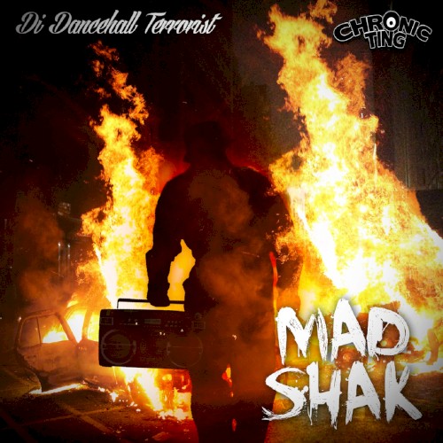 Di Dancehall Terrorist