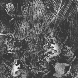 Metempiric