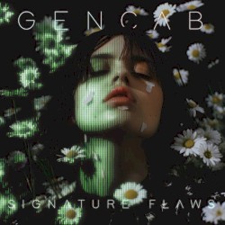 Signature Flaws