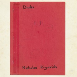 Ducks