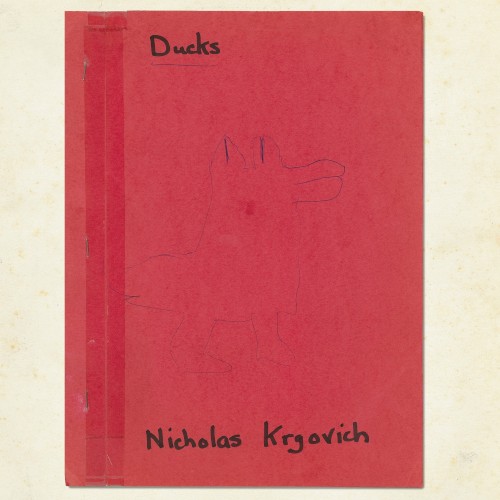 Ducks