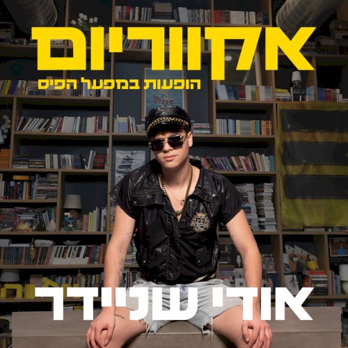 הופעות במפעל הפיס