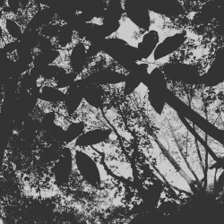 Hypoxia