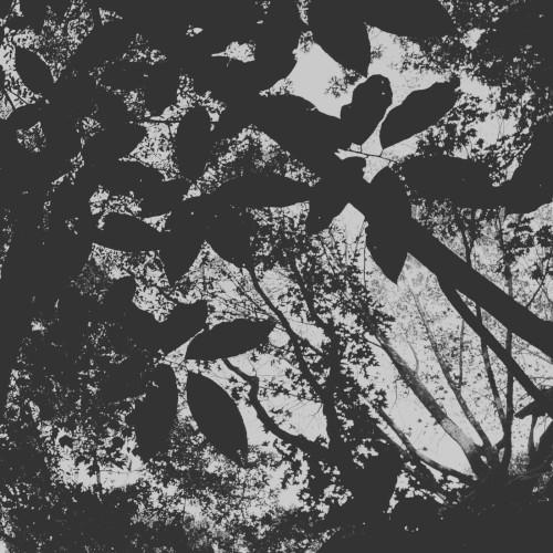 Hypoxia