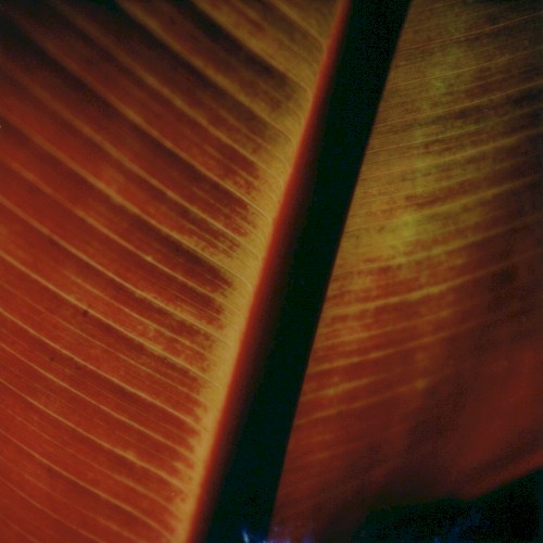 Underwritten IV