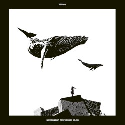 Confusion of Sound EP
