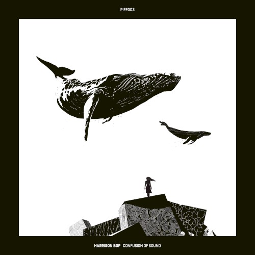 Confusion of Sound EP