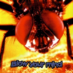 Blow Your Mind (With Supersónic Meditation)