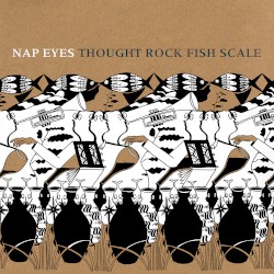 Thought Rock Fish Scale