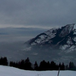 Alpine Acid