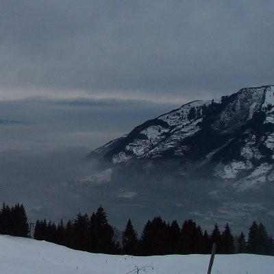 Alpine Acid