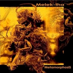 MetamorphosiS