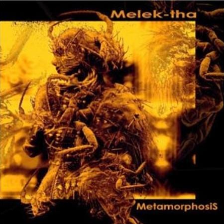 MetamorphosiS